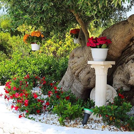 מונופולי Villa Santo Stefano מראה חיצוני תמונה