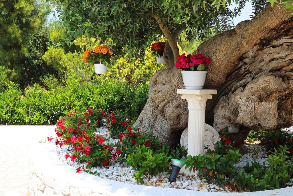 מונופולי Villa Santo Stefano מראה חיצוני תמונה